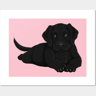 Labrador Puppy Posters and Art